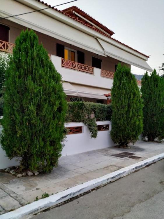 Ferienwohnung N&Μ Méthana Exterior foto